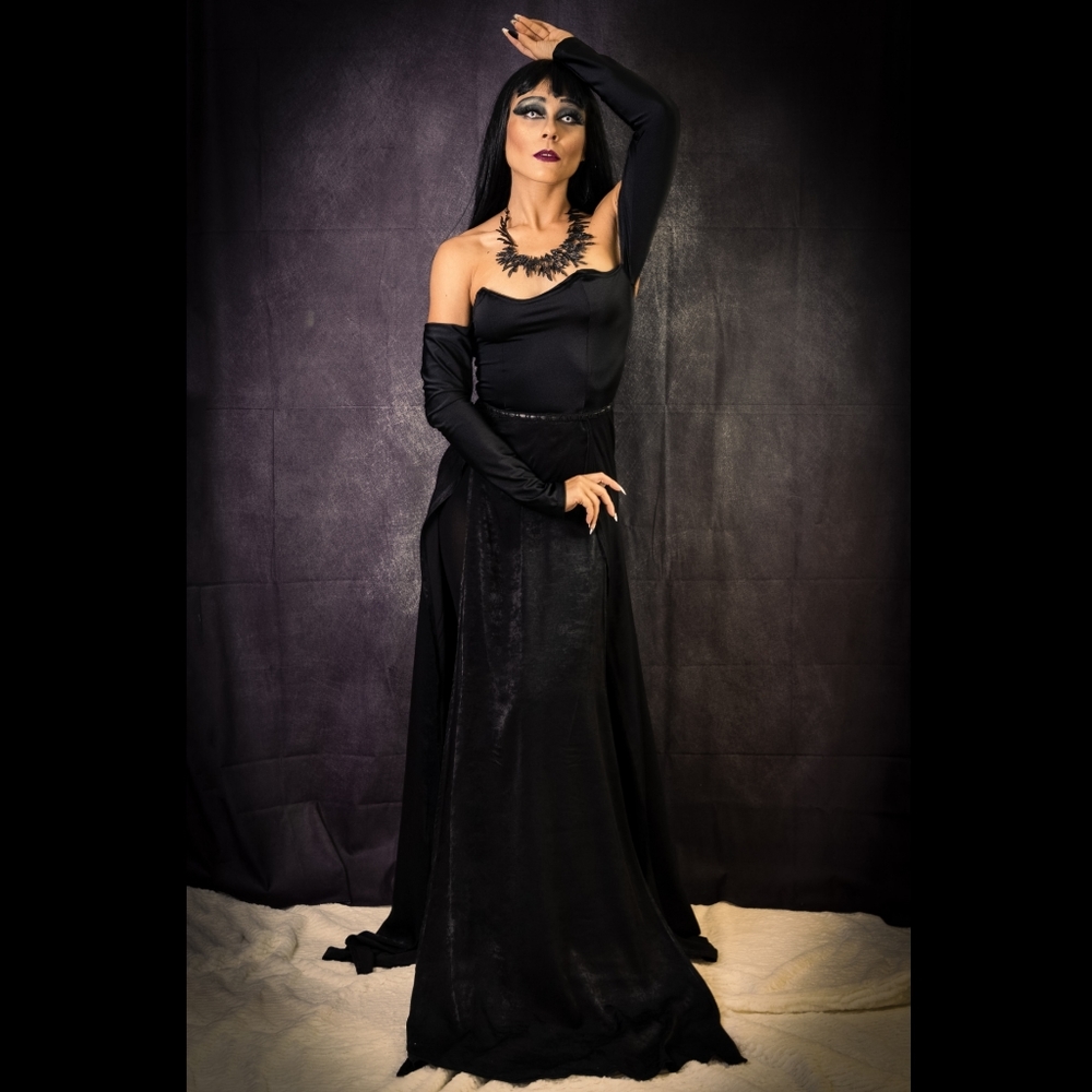 NOCTURNAL BEAUTY -Double High Slit Princess Bodice Silk and Milliskin Gown